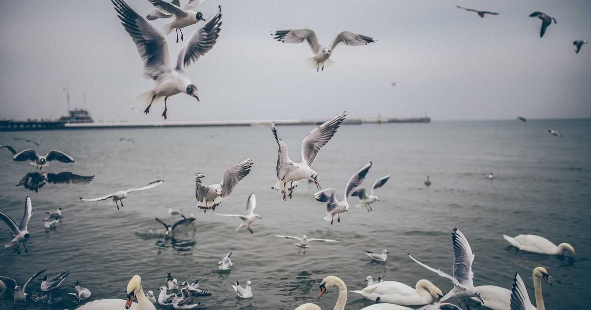 What kind of company is Genspark? Can you buy its stock? [2026 latest]