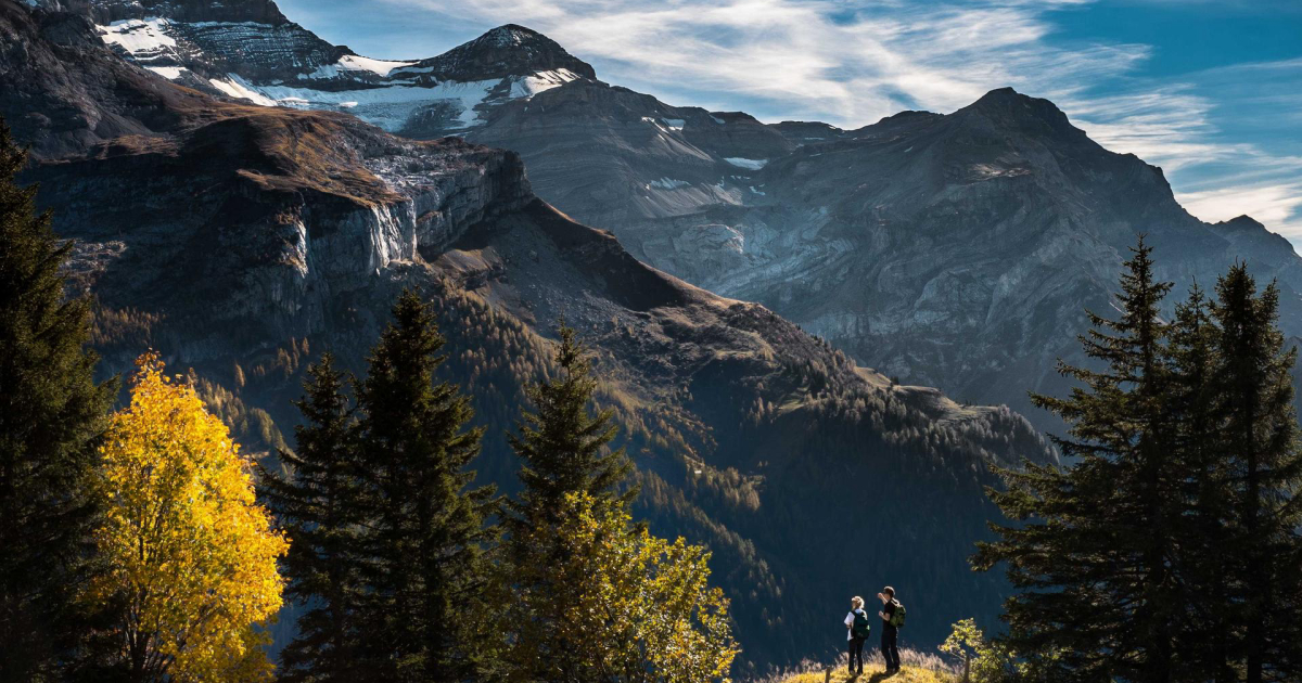 企業向け！ジェンスパーク導入で絶対やるべきセキュリティ設定と注意点