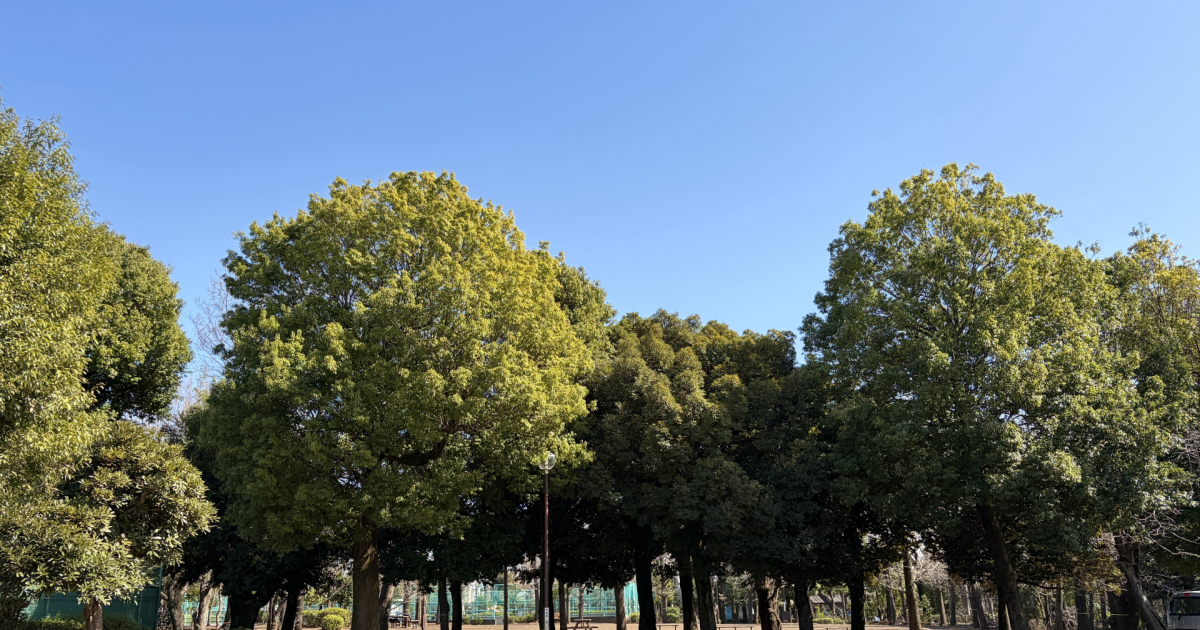 Dramatically boost development efficiency! 5 prompt techniques to elicit high-precision code with Genspark